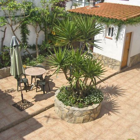 Can Leon El Poble Nou del Delta Εξωτερικό φωτογραφία